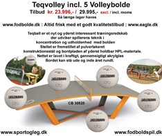 Teqvolley incl. 5 volleybolde